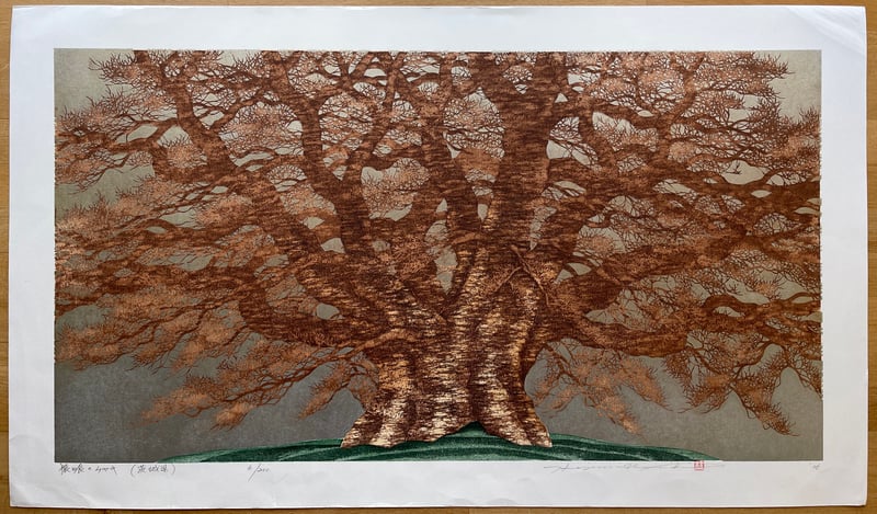 Saruhami Zelkova by Hajime Namiki