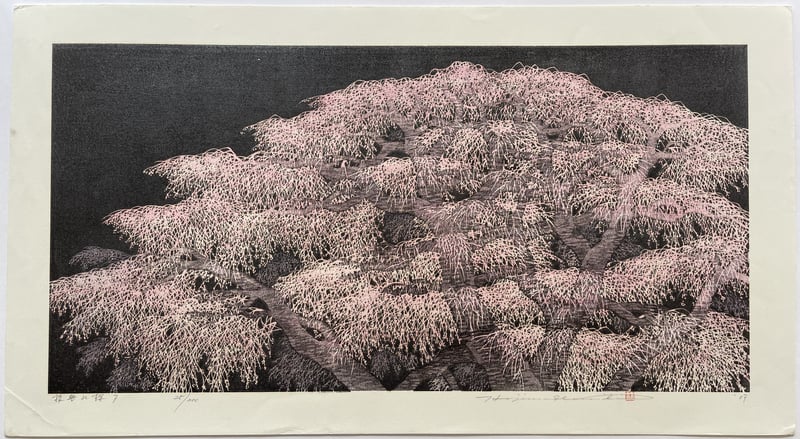 Shidare Sakura 7 by Hajime Namiki
