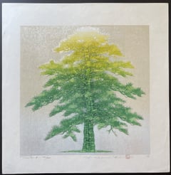 Tree 4-B