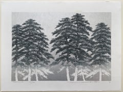 Tree scene 82