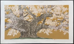 Usuzumi Cherry of Iotani (Gifu)