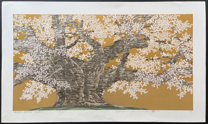 Usuzumi Cherry of Iotani (Gifu) by Hajime Namiki