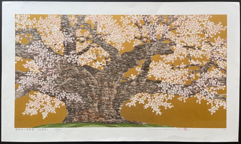 Usuzumi Cherry of Iotani (Gifu) by Hajime Namiki