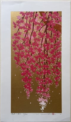 Weeping Cherry 12