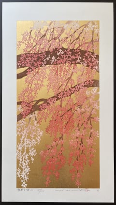 Weeping Cherry 14