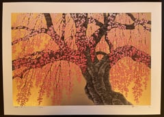 Weeping Cherry 15