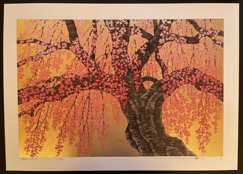 Weeping Cherry 15 by Hajime Namiki