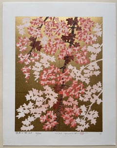 Weeping Cherry 16A