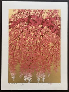 Weeping Cherry 19