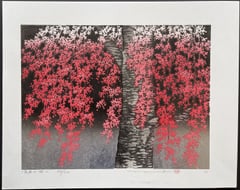 Weeping Cherry 2