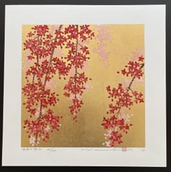 Weeping Cherry 22