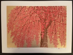 Weeping Cherry 24