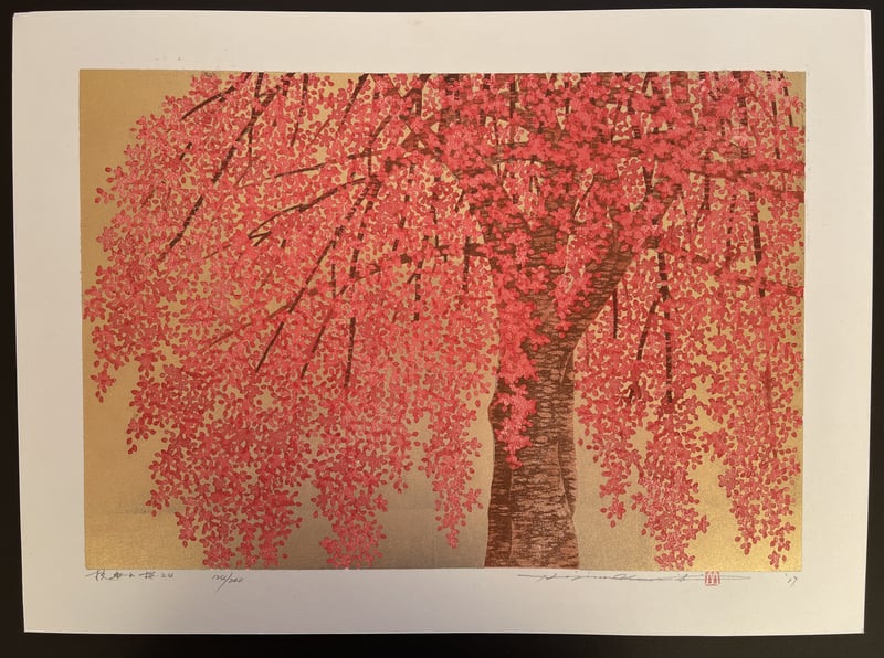 Weeping Cherry 24 by Hajime Namiki