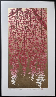 Weeping Cherry 25
