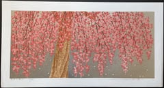 Weeping Cherry 27