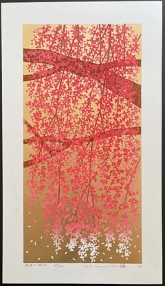 Weeping Cherry 28