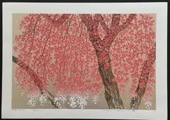 Weeping Cherry 29