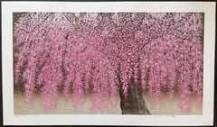 Weeping Cherry 30