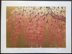 Weeping Cherry 5