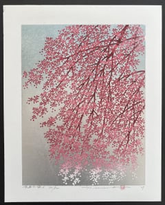 Weeping Cherry 6