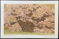 Wild Cherry of Kogenji (Tokyo)