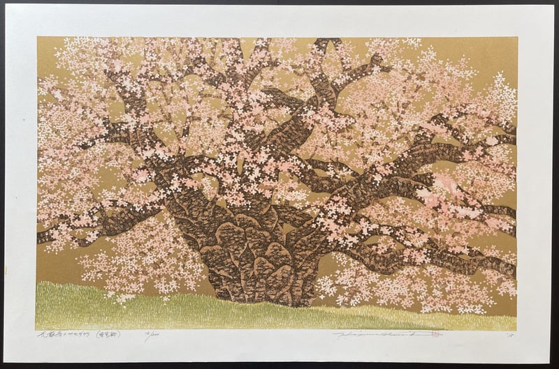 Wild Cherry of Kogenji (Tokyo) by Hajime Namiki