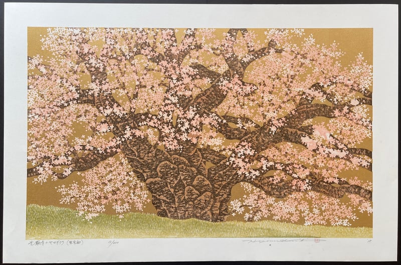 Wild Cherry of Kogenji (Tokyo) by Hajime Namiki