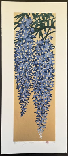 Wisteria 1