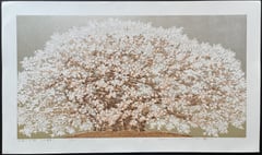Yoshitaka Cherry Tree