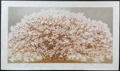 Yoshitaka Cherry Tree