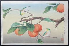 Persimmon and Japanese White Eye