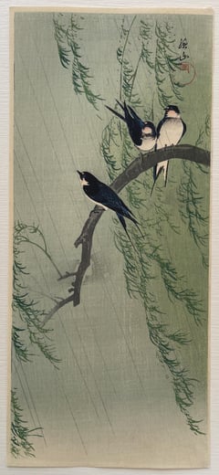 Barn Swallows and Willow