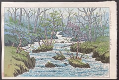 Oirase in Spring