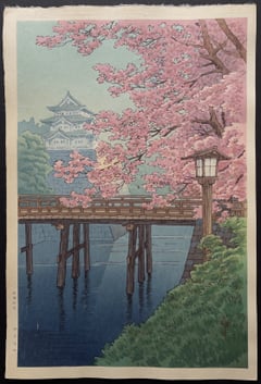 Cherry Blossoms and Castle
