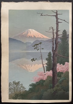 Mount Fuji from Tagonoura Bay