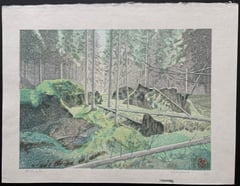 Forest of Fallen Trees