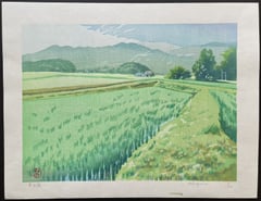 Spring Breeze over a Rice Field