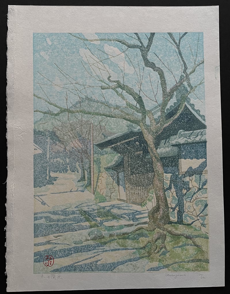 Sunlight in Winter by Junichi Mibugawa