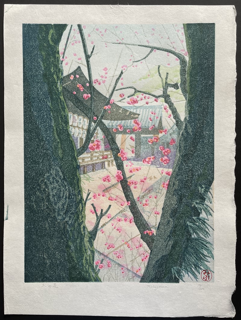Tree Flowers by Junichi Mibugawa