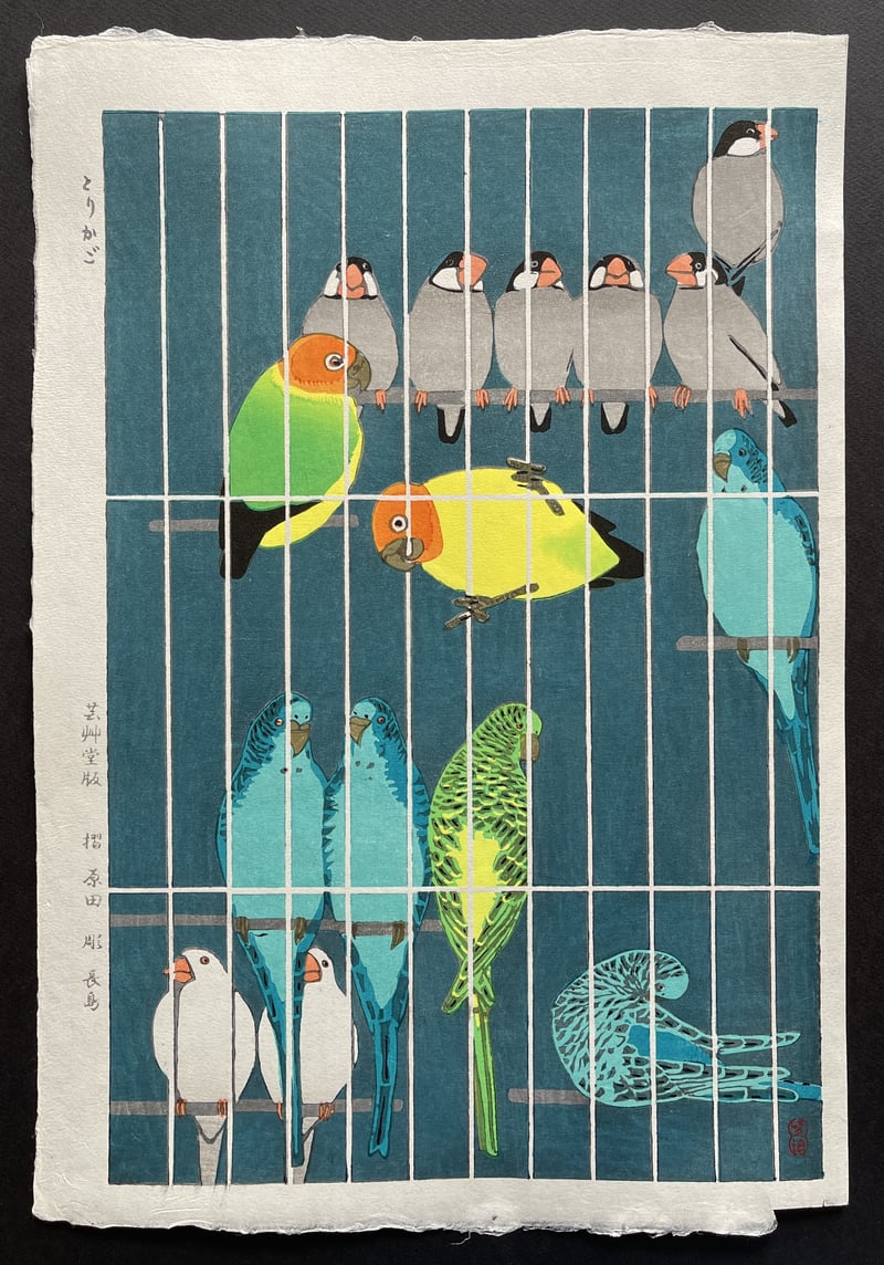 Bird Cage by Kasamatsu Shiro