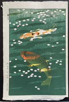 Carp pond
