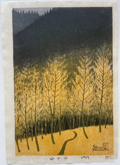 Mountain Shadow