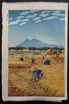 Rice harvesting