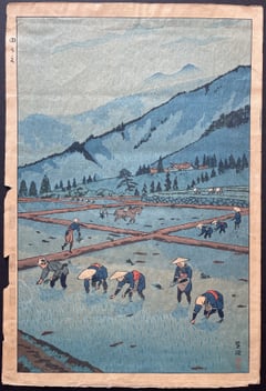Rice planting (Early Edition)