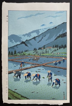 Rice planting