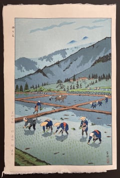 Rice planting