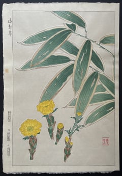 Adonis and Bamboo (Shinmi)