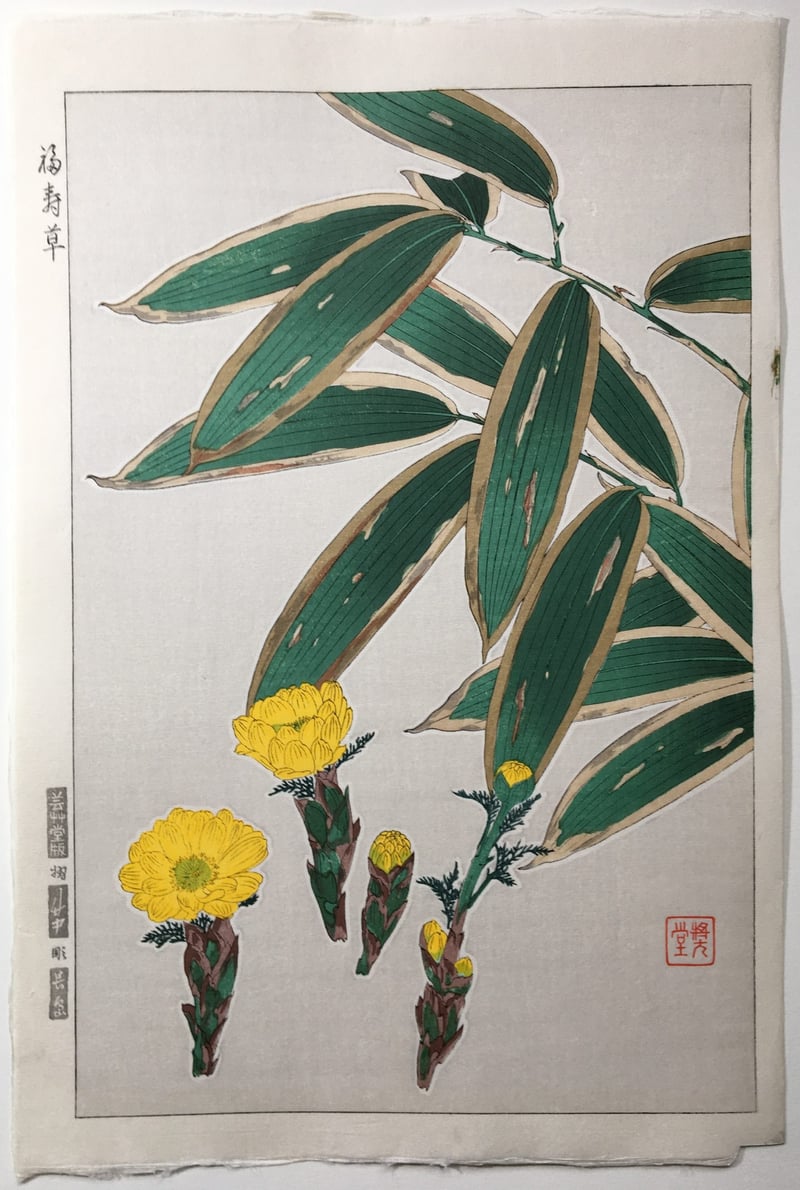 Adonis and Bamboo by Kawarazaki Shodo