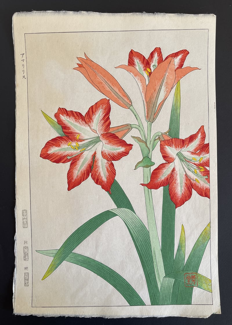 Amaryllis (Shinmi) by Kawarazaki Shodo