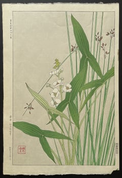 Arrowhead (First Edition)